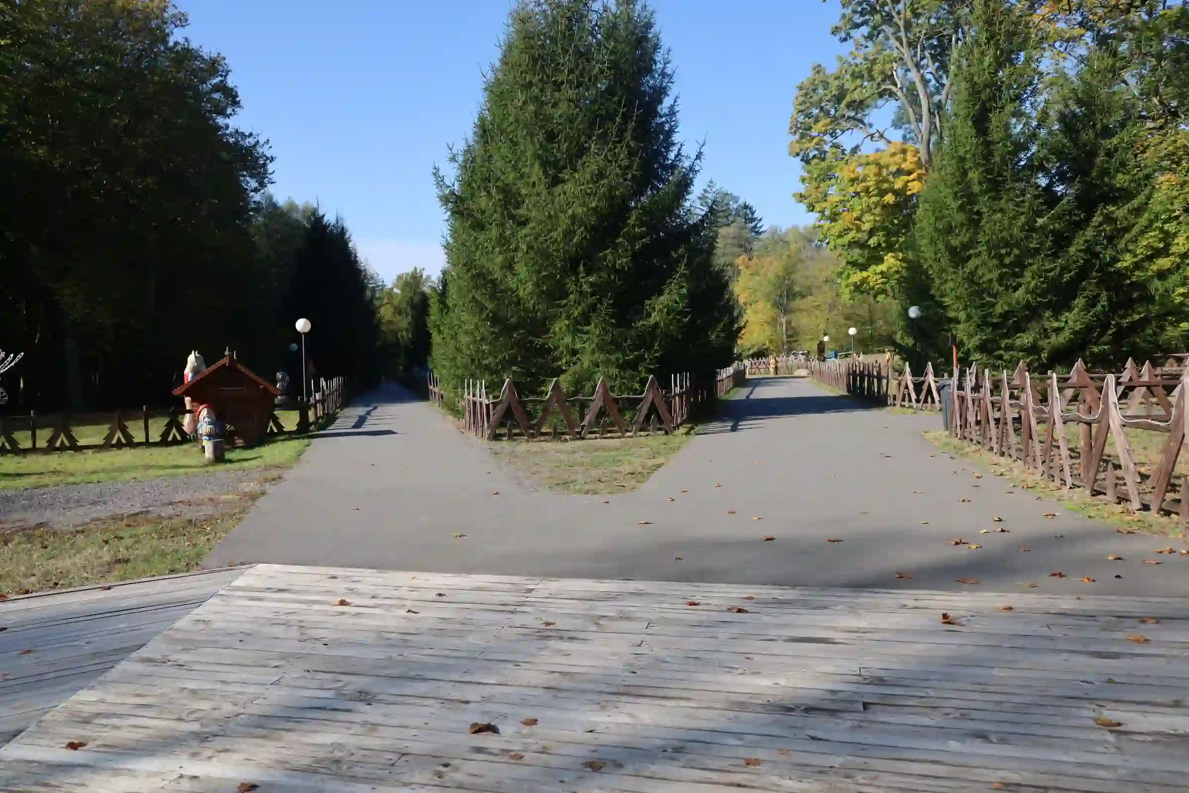 Главная ёлка на территории туристического комплекса.