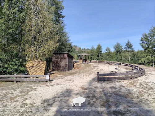 Recreation area №4 (Pond «Plyanta-1»)