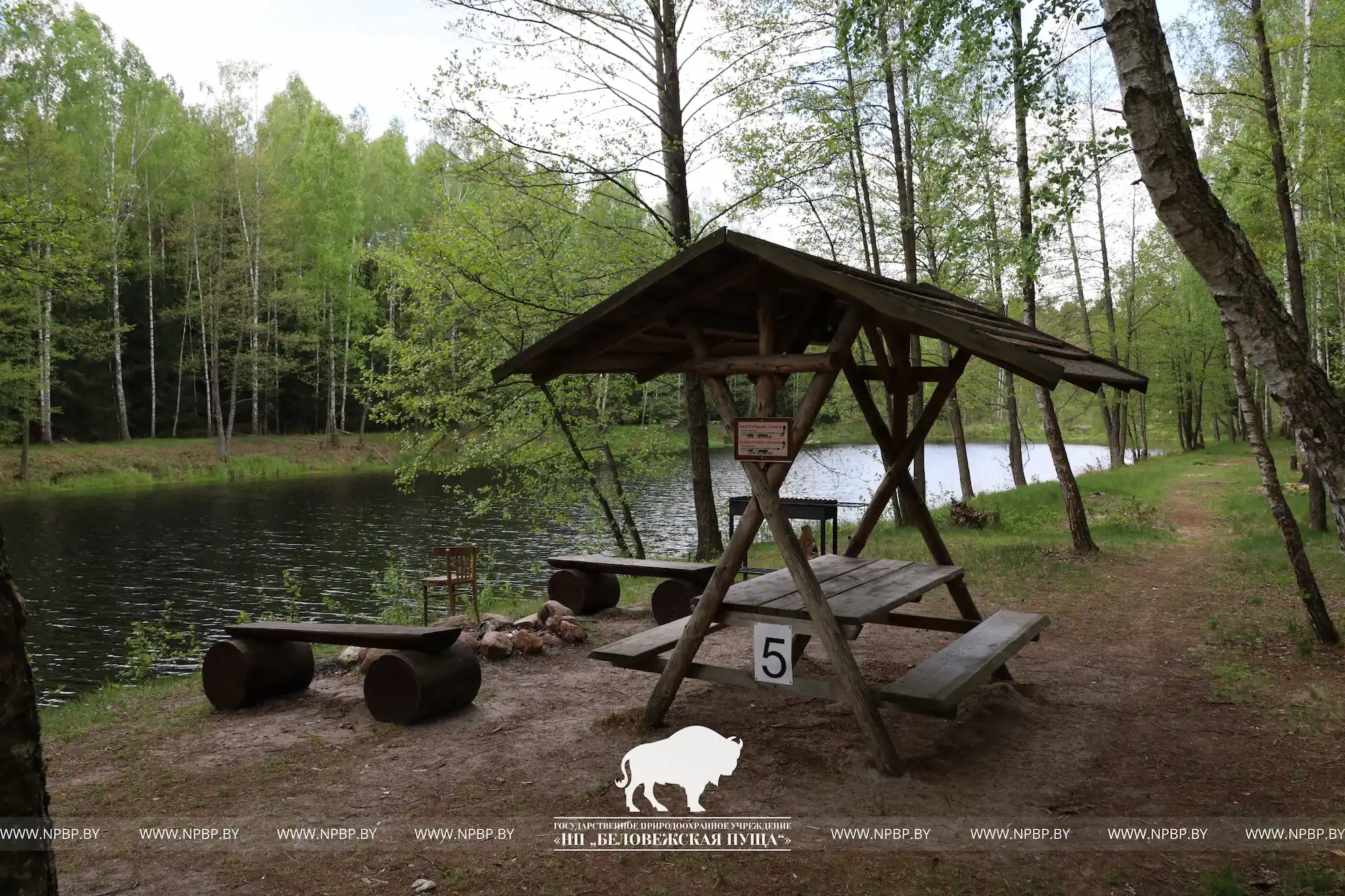 Место для пикников №5 (Пруд «Плянта-2»).