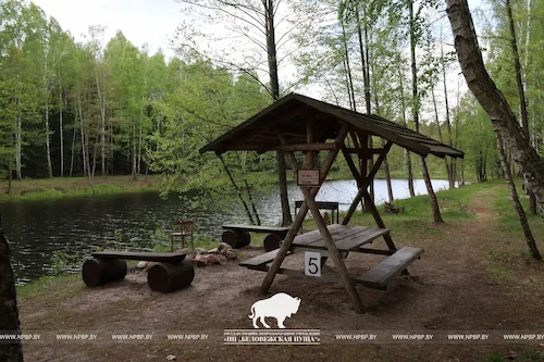 Recreation area № 5 (Pond «Plyanta-2»)