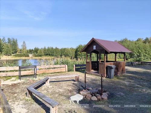 Recreation area № 2 (Pond «Plyanta-1»)