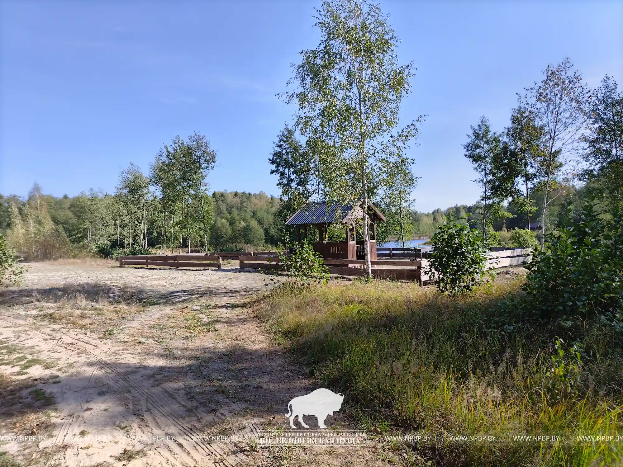 Отдых у пруда «Плянта-1» на специально оборудованном месте №3.