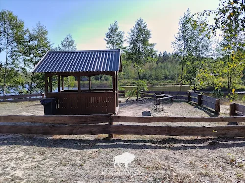 Recreation area № 3 (Pond «Plyanta-1»)