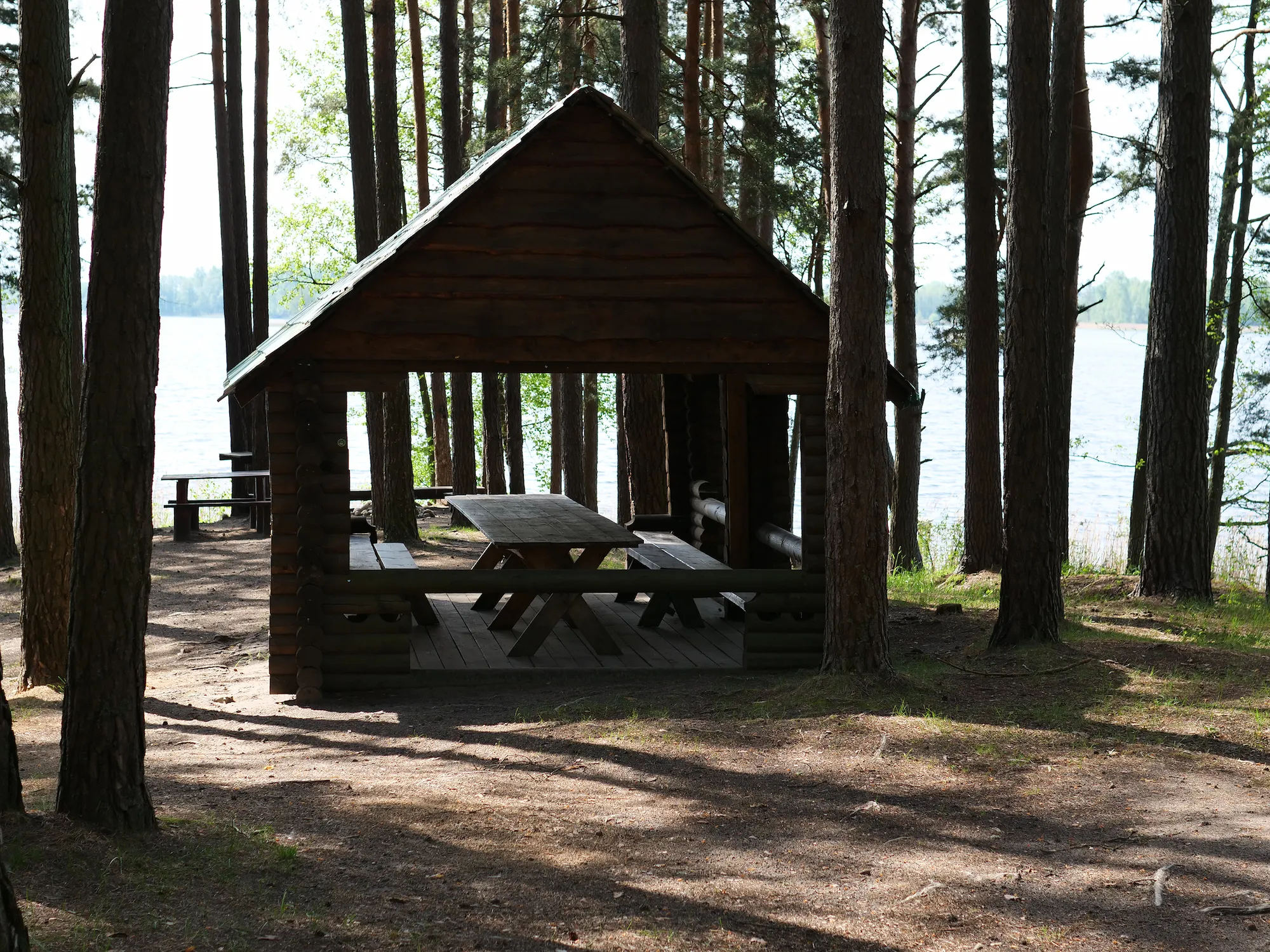 «Барский» закат: солнце садится за горизонт огромной поляны, окрашивая небо в пурпур
