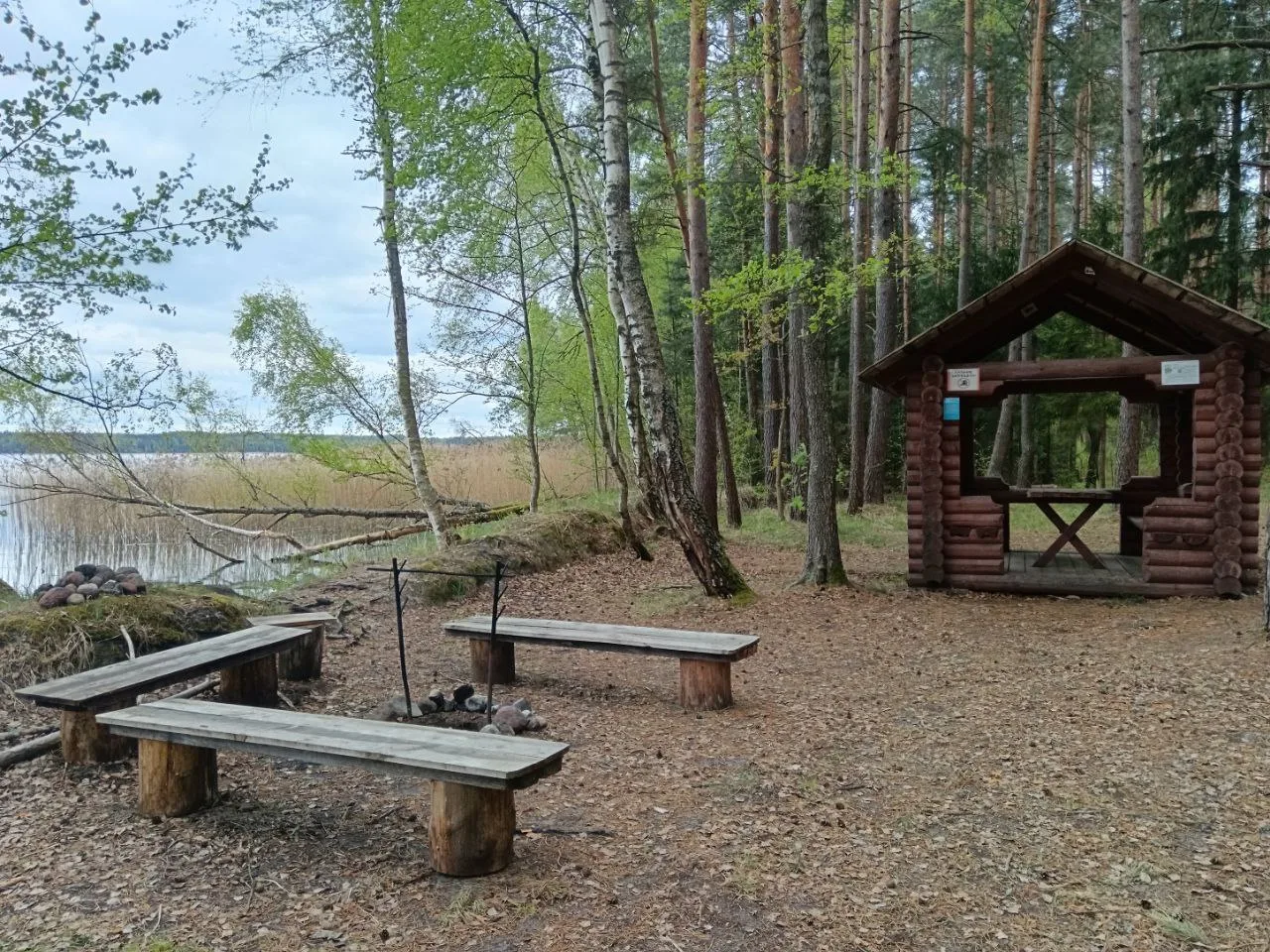 Отдых с чистым сознанием на берегу озера: заказная стоянка «Чистый берег».