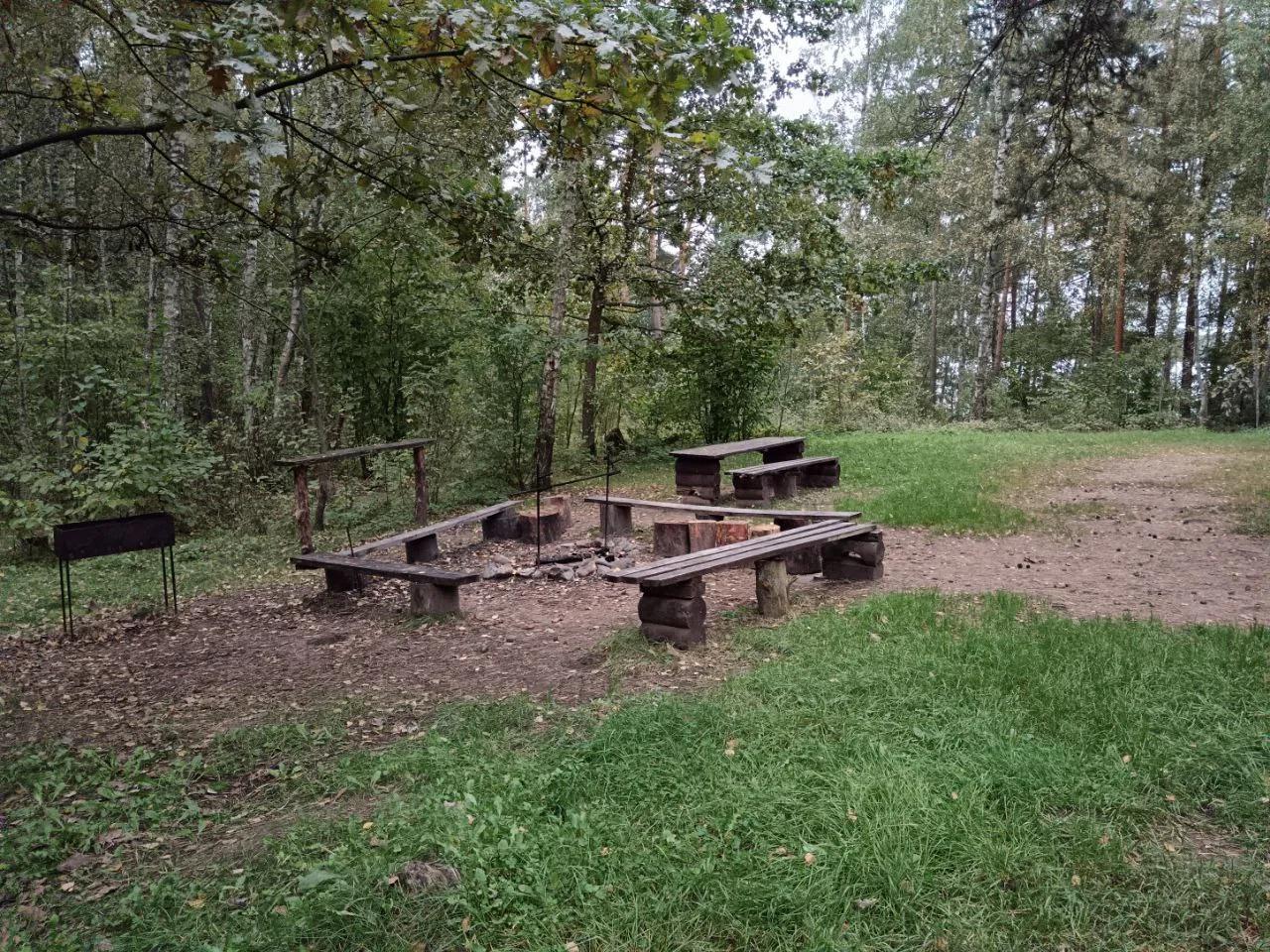 Борок» — стоянка в сосновом бору, где воздух наполнен ароматом хвои и тишиной