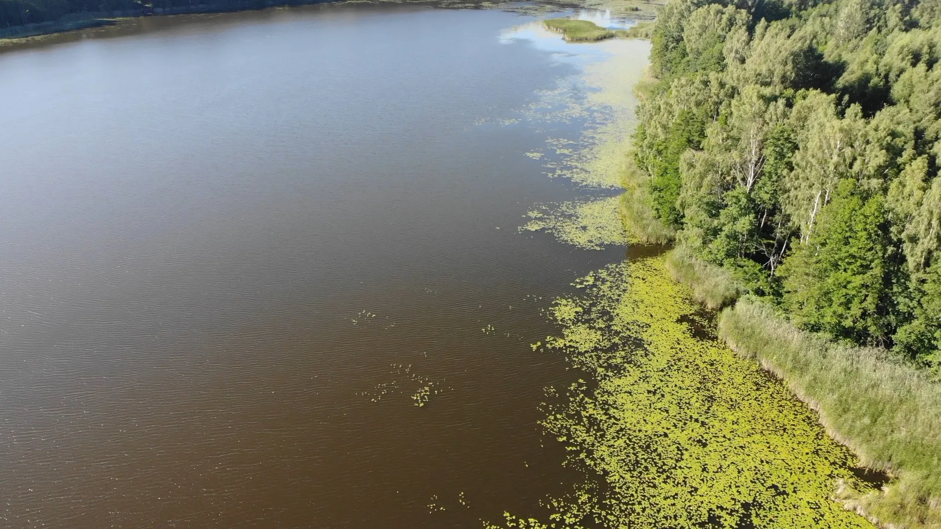 Озеро Ельно на Браславских озерах