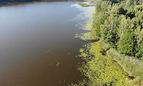 Возера Ельна