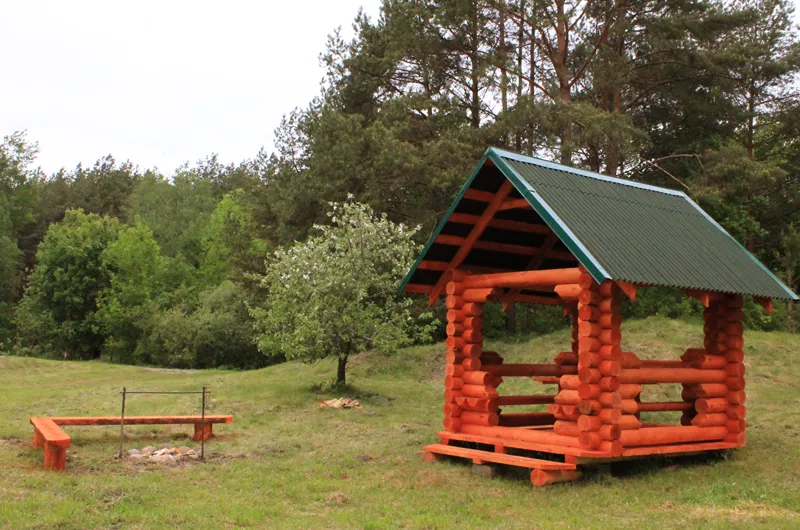 Лес по периметру создает естественный амфитеатр для площадки стоянки «Фестивальная».