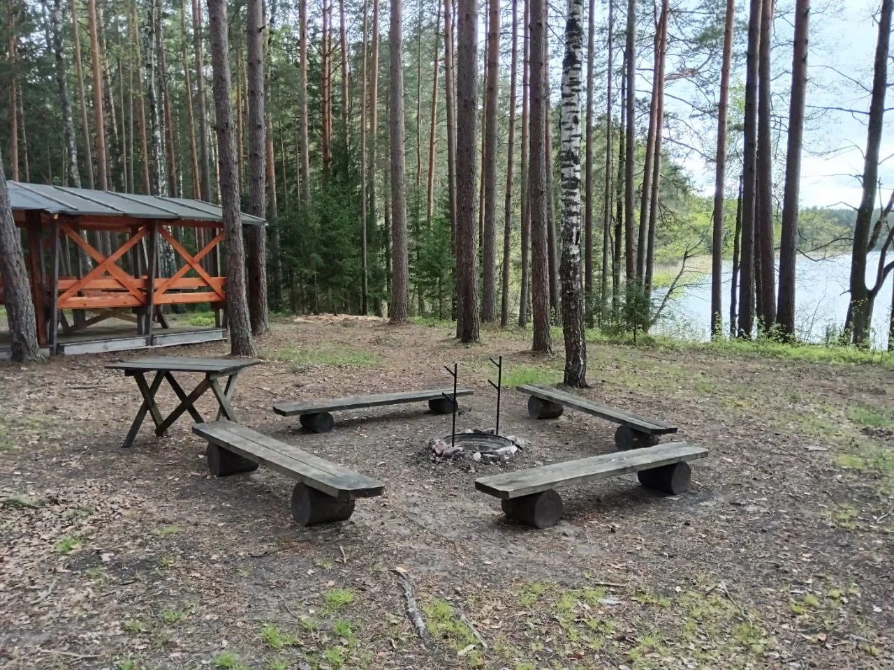 Туристическая стоянка «Лесная» в глубине соснового (или смешанного) леса Браславщины