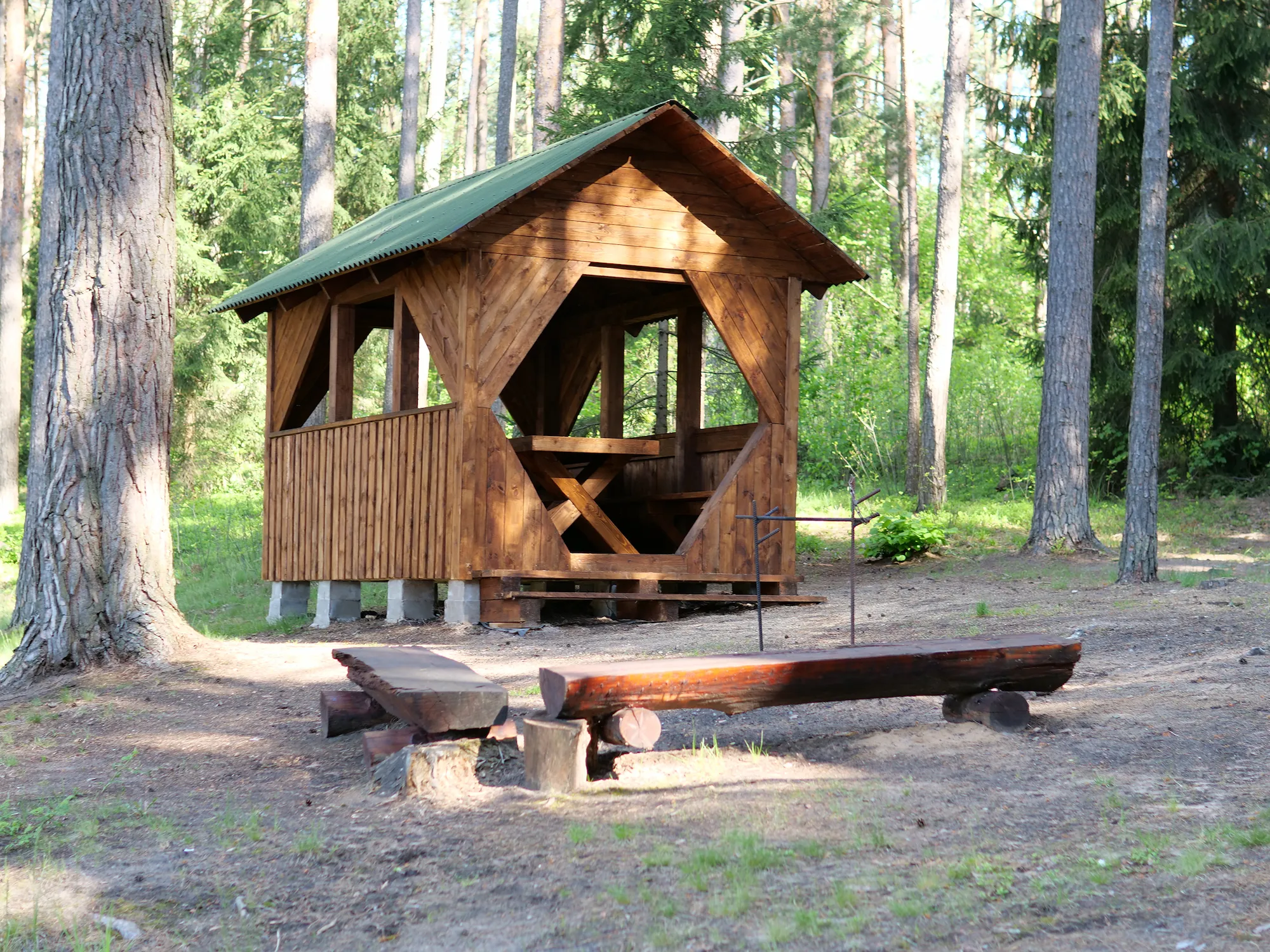 Для терпеливых наблюдателей: стоянка «Лисья» — шанс подглядеть за тайной жизнью леса