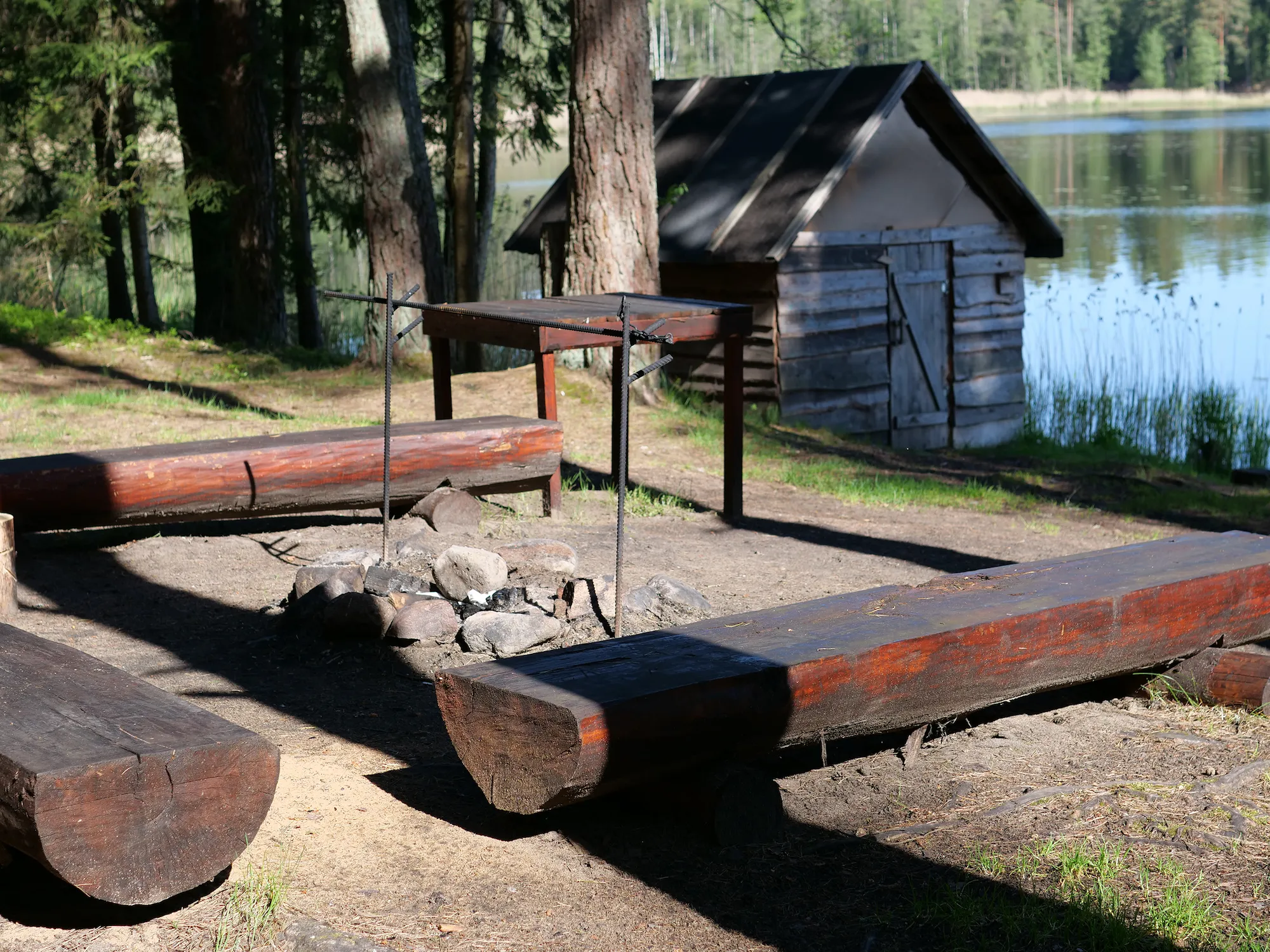 «Малиновка» — не просто название. Здесь действительно можно понаблюдать за птицами, включая зарянок.