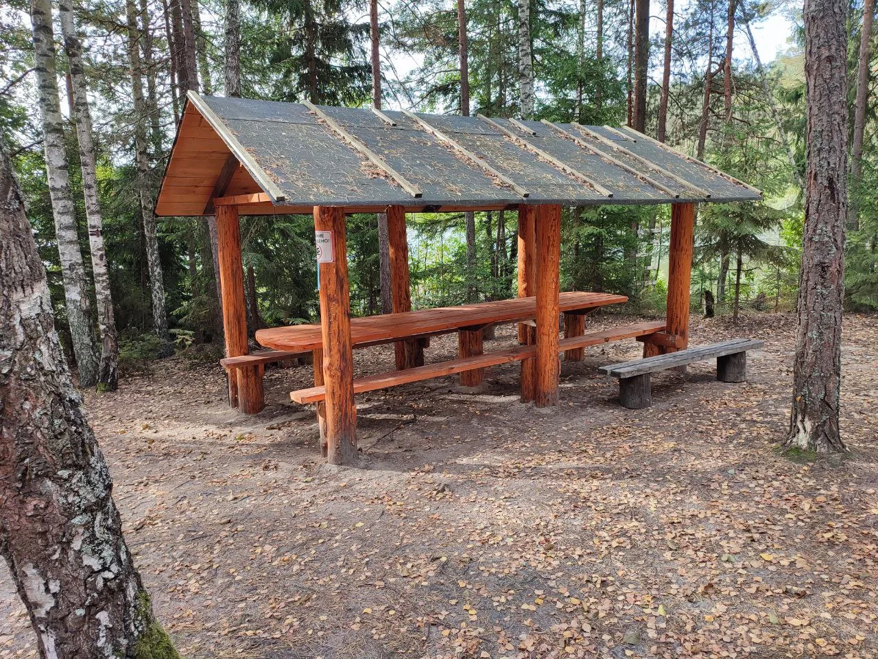 Для тех, кто не ищет лёгких путей: стоянка «Медведно-1», где вы остаётесь наедине с озером и лесом