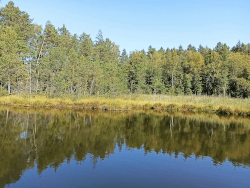 Озеро Медведно (Недведно)