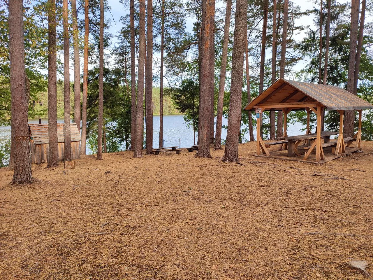 На «Медведно-2» есть всё необходимое: навес, стол, скамьи, костровое кольцо и туалет