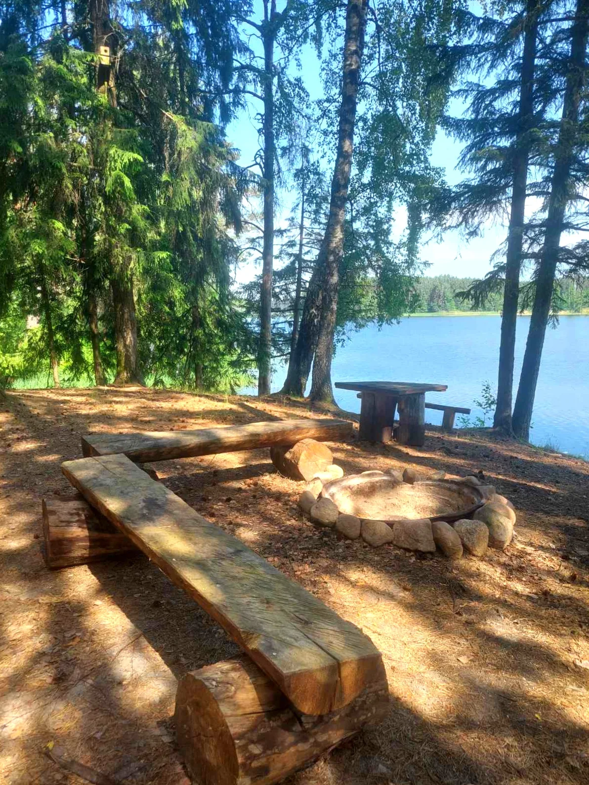 Стоянка «Министерская» среди соснового бора — идеальное место для кемпинга.