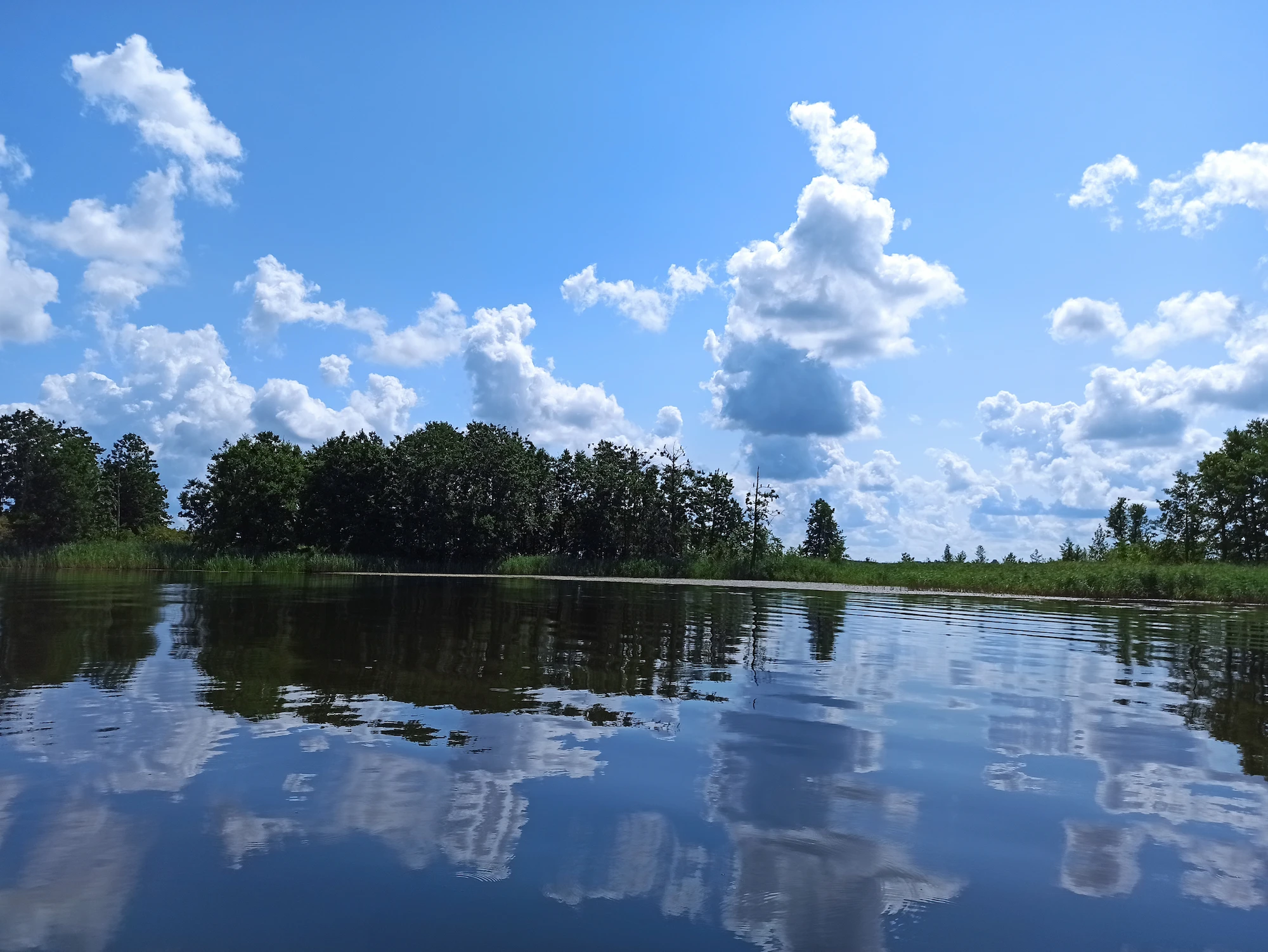 Озеро Недрово в лучах заката с отражением облаков в воде и лесным массивом на горизонте