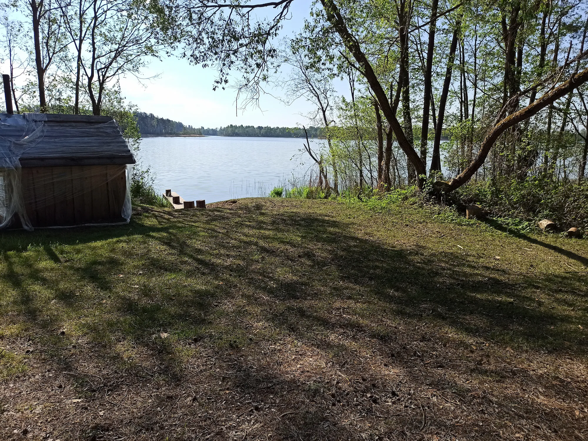 Характерный мелководный водоем: озеро Обабье с тростниковыми зарослями