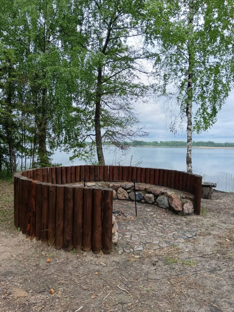 На стоянке «Борок» всегда сухо и чисто под ногами благодаря сосновой подстилке