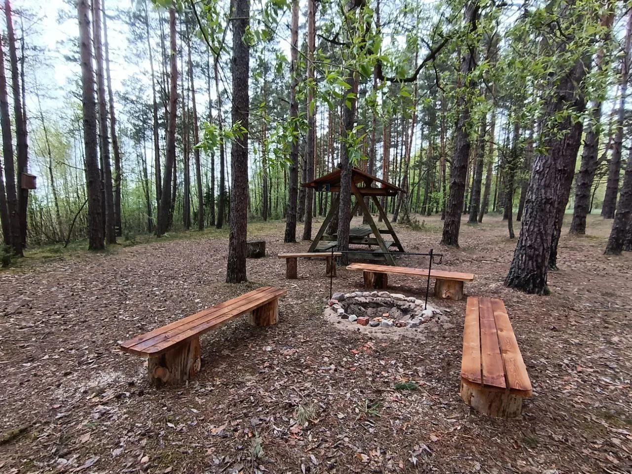 Прохлада и свежесть в летний зной: стоянка «Ручей» у живой воды.