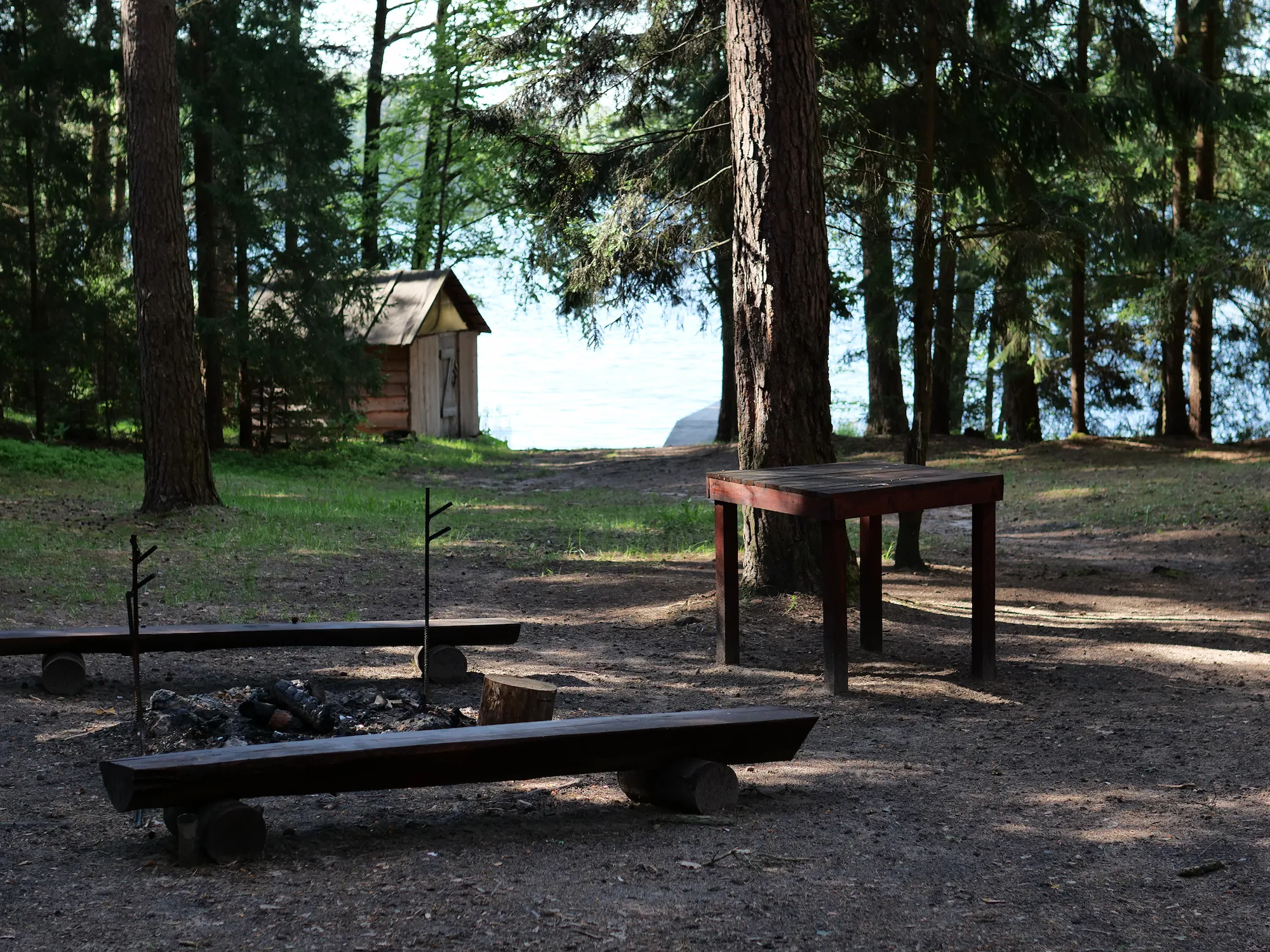 Утро у «Шишкина дома»: лучший вид на озеро — с лавочки за чашкой кофе