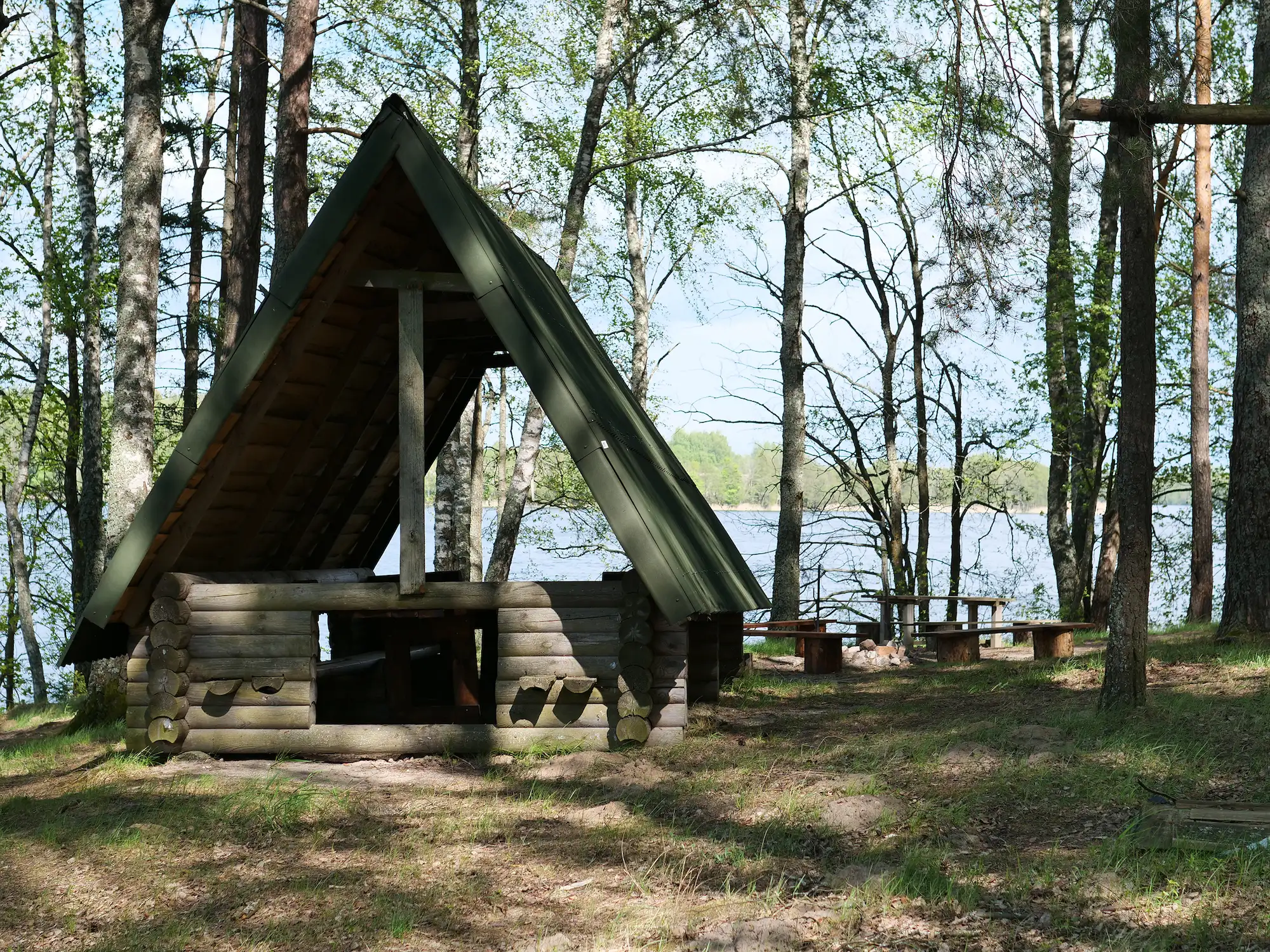 Туристическая стоянка «Сосновая» в окружении высоких сосен на Браславских озёрах