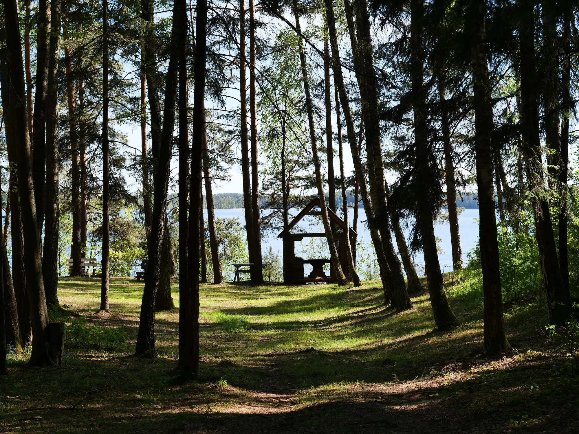 Живая вода: источник жизни и красоты в природе национального парка