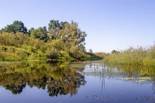 Воз. Барадзянскае