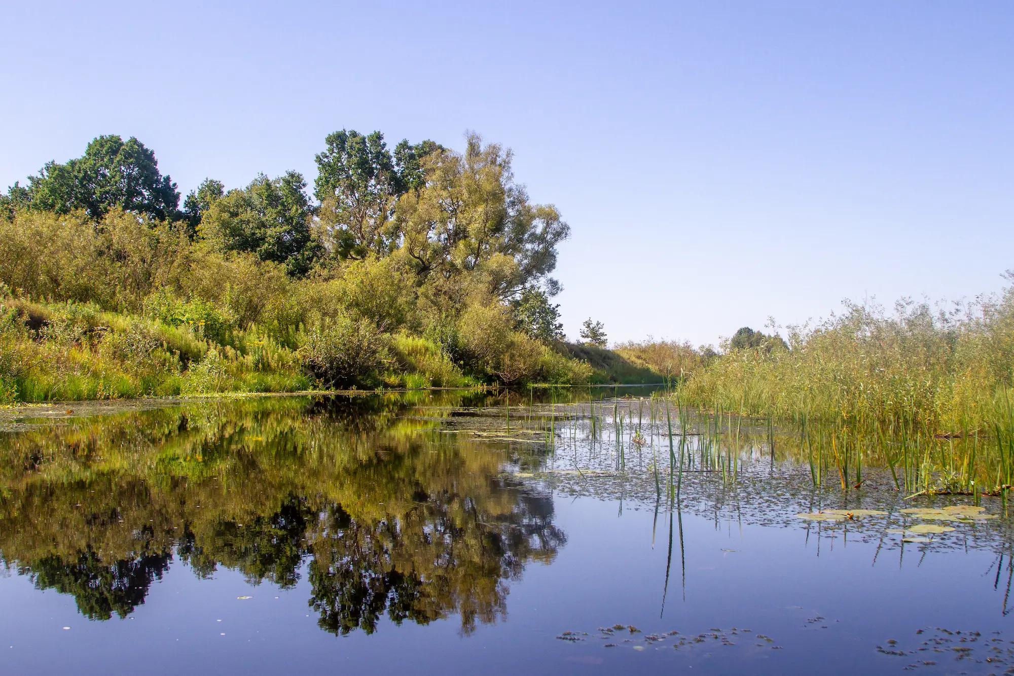 Озеро Бородское — тихий водоем