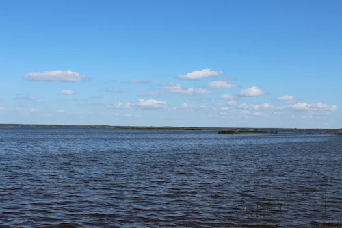 Воз. Чырвонае