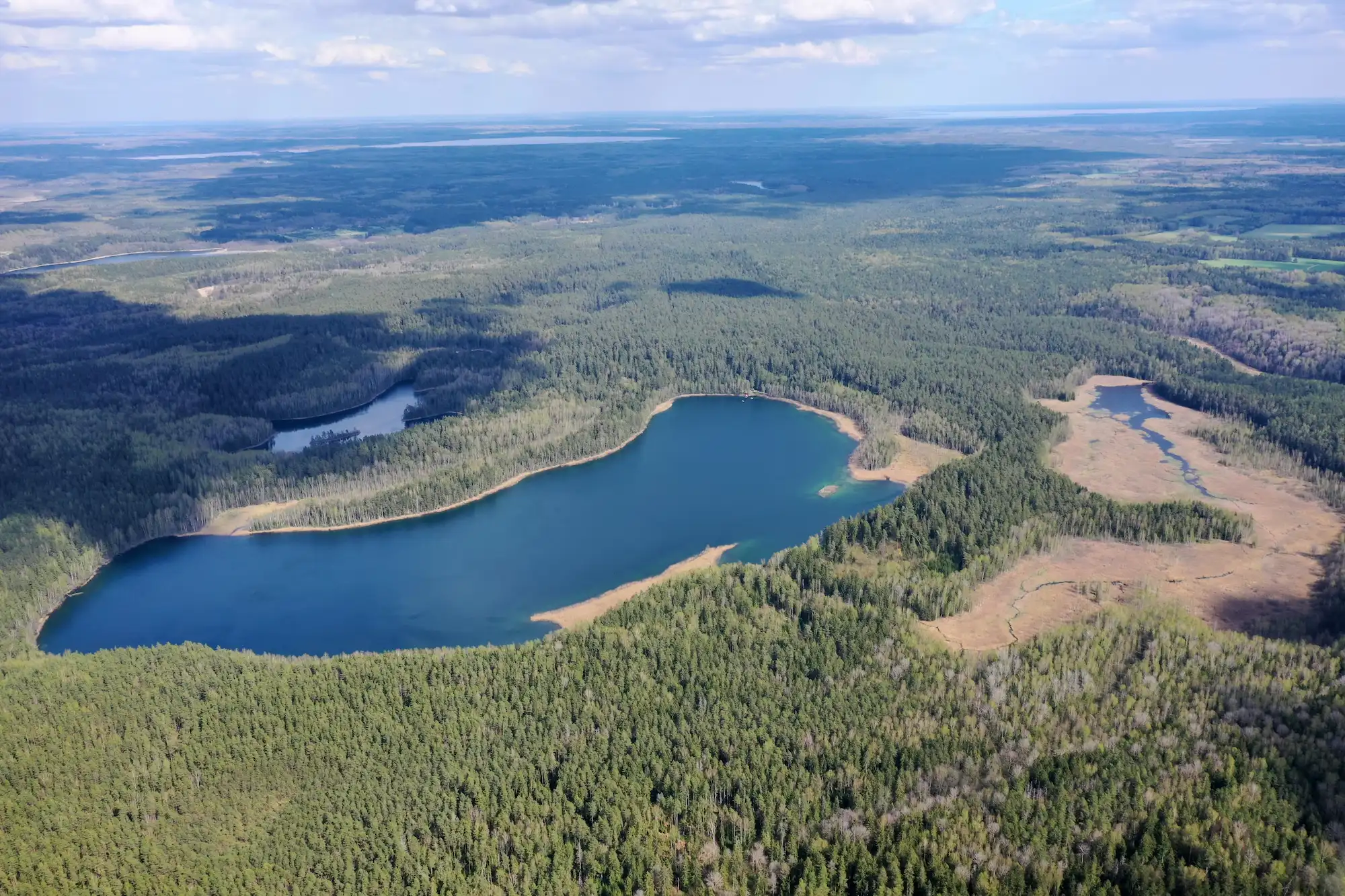 Голубые озёра летом: бирюзовая вода и зелёный лес.