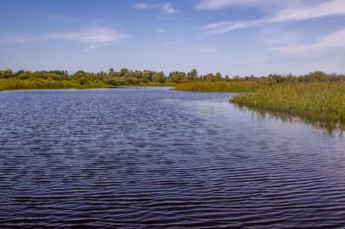 Воз. Катэчнае