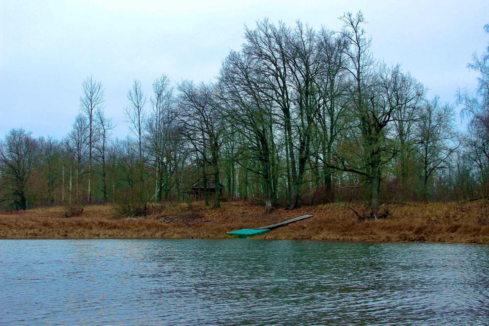 Вид на Озеро Крымское с северо-западного берега, где лес вплотную подходит к воде.