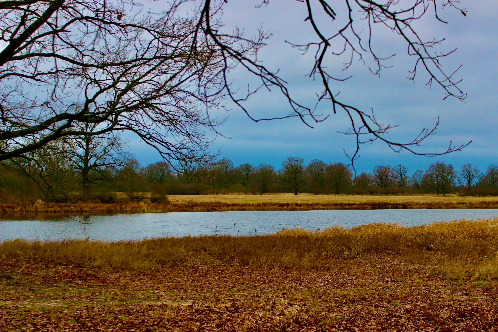Озеро Лукое — водоем с высокими солнечными берегами и отлогими спусками.