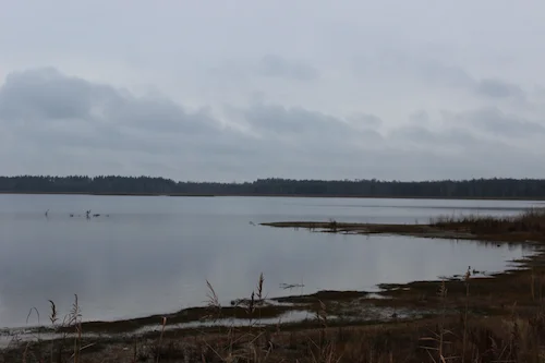 Вадасховішча Млынок