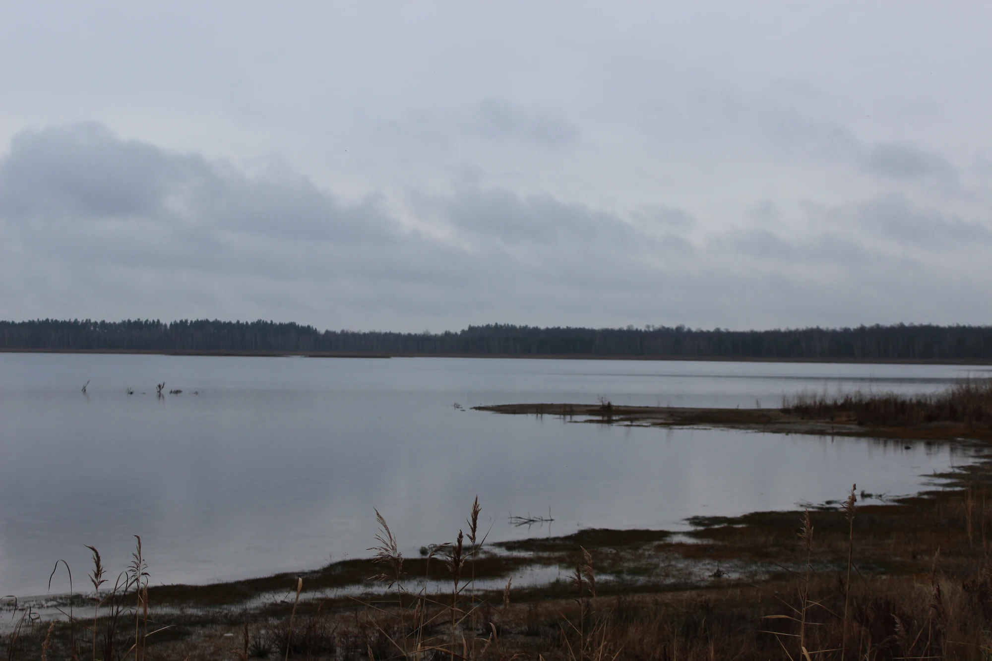 Пляж для купания с песчаным заходом в воду на Водохранилище Млынок.