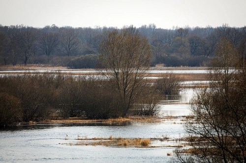 Сплав на байдарках «Море Геродота»
