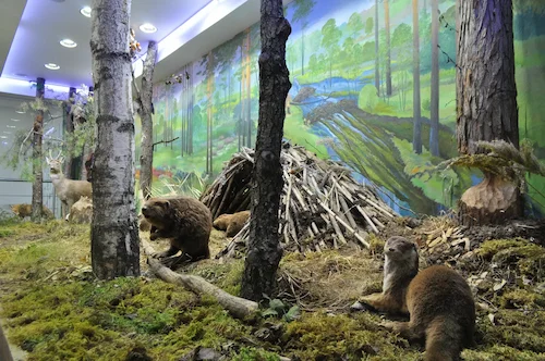 The Nature Museum Rental Centre