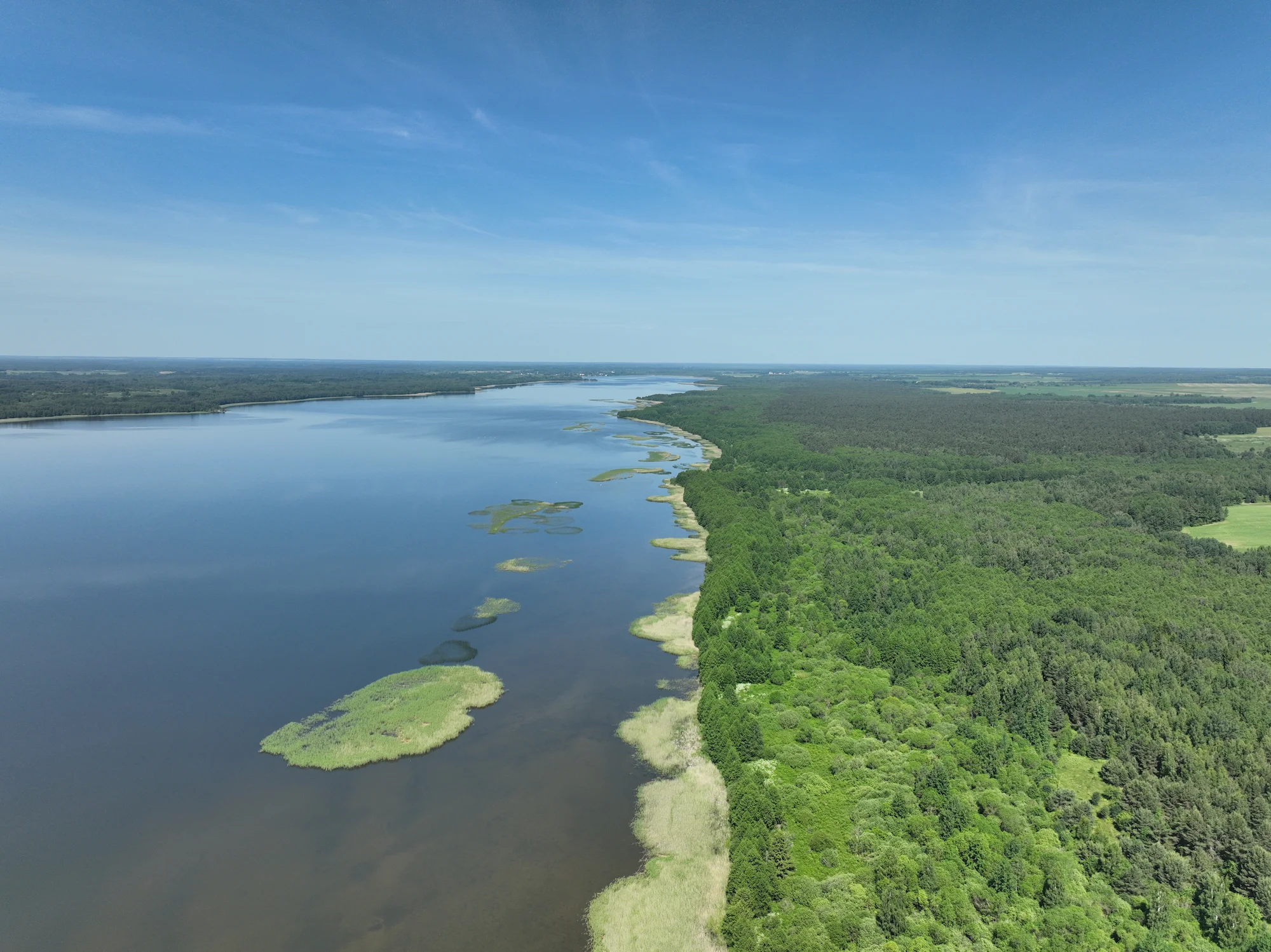 Угодья в пойме реки: охота на водоплавающую и бобра.