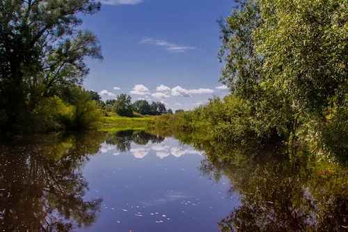 Воз. Покалле