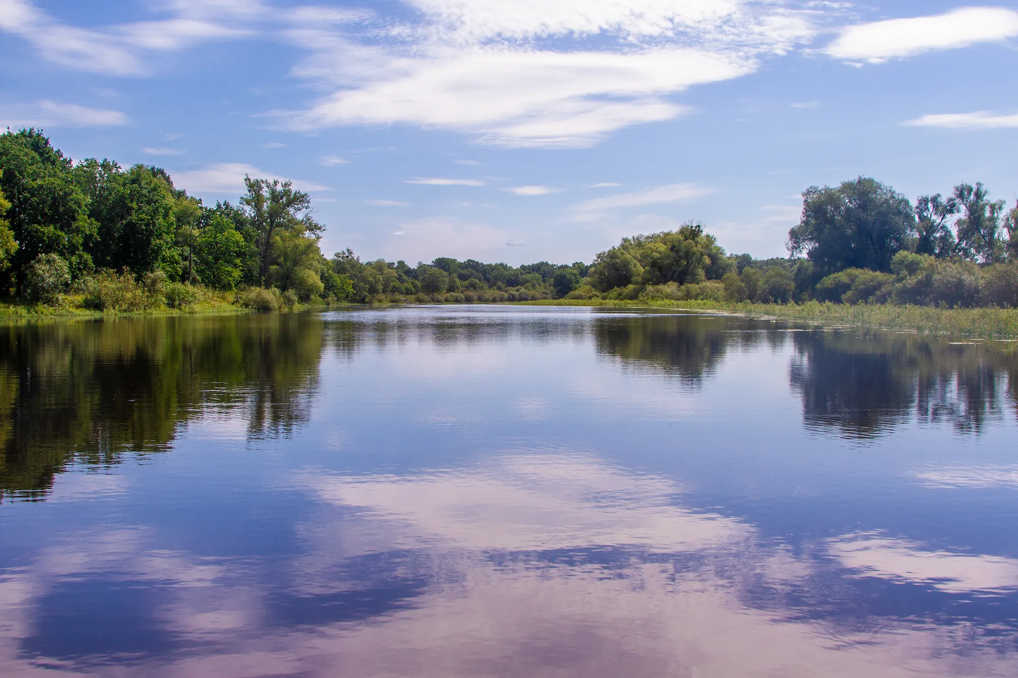 Озеро Покалье — просторный лесной водоем с песчаными пляжами и сосновыми борами.