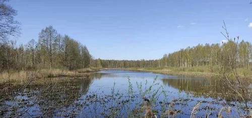 Pererovsky pond