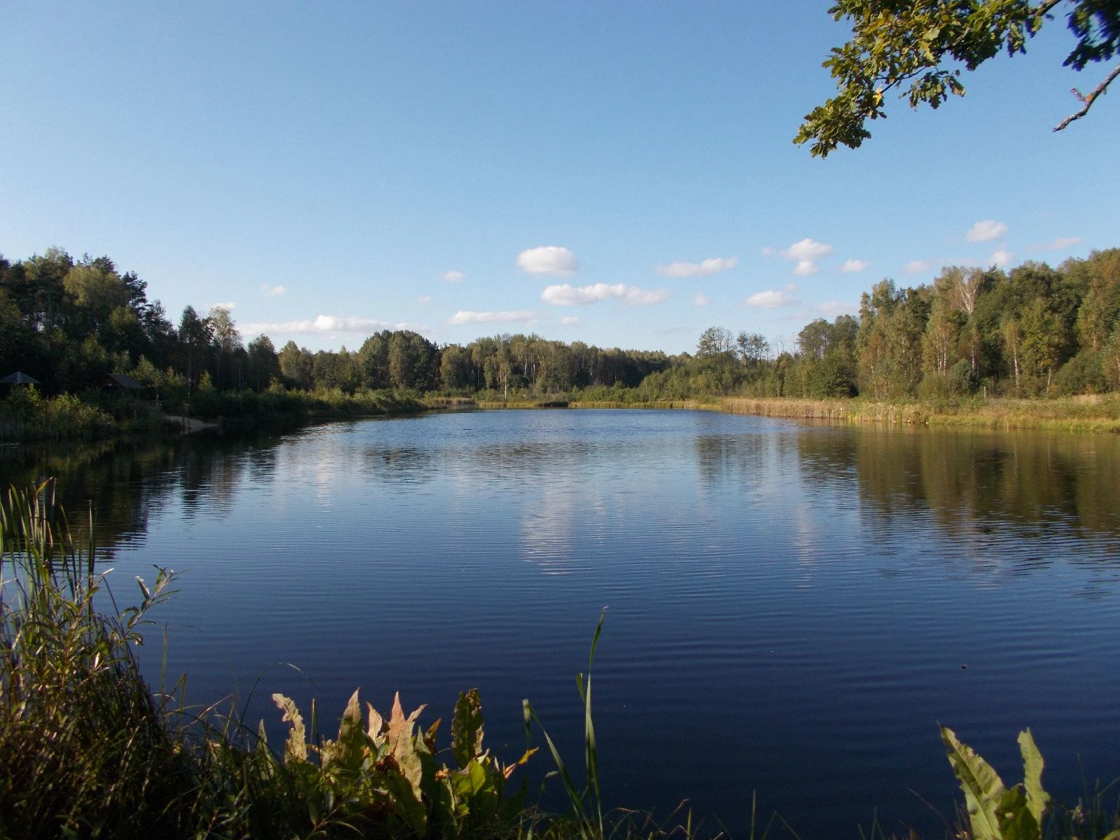 Пруд Плянта-1: живописный городской водоем в парковой зоне.