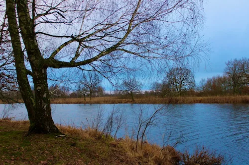 Воз. Плішчын