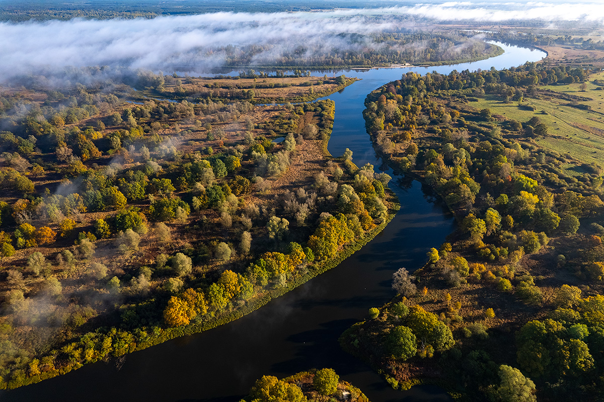 Pripyatsky National Park