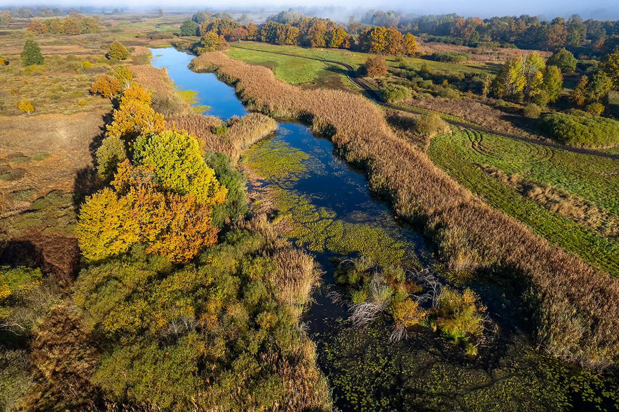 Река-кормилица и река-пограничница в судьбах поколений.
