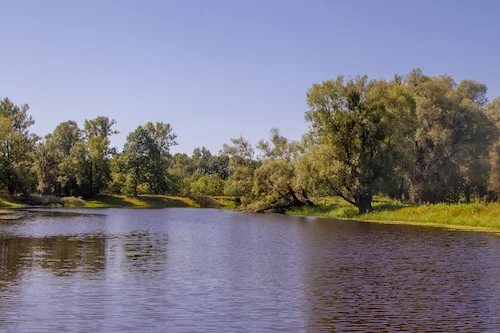 Воз. Прыварот