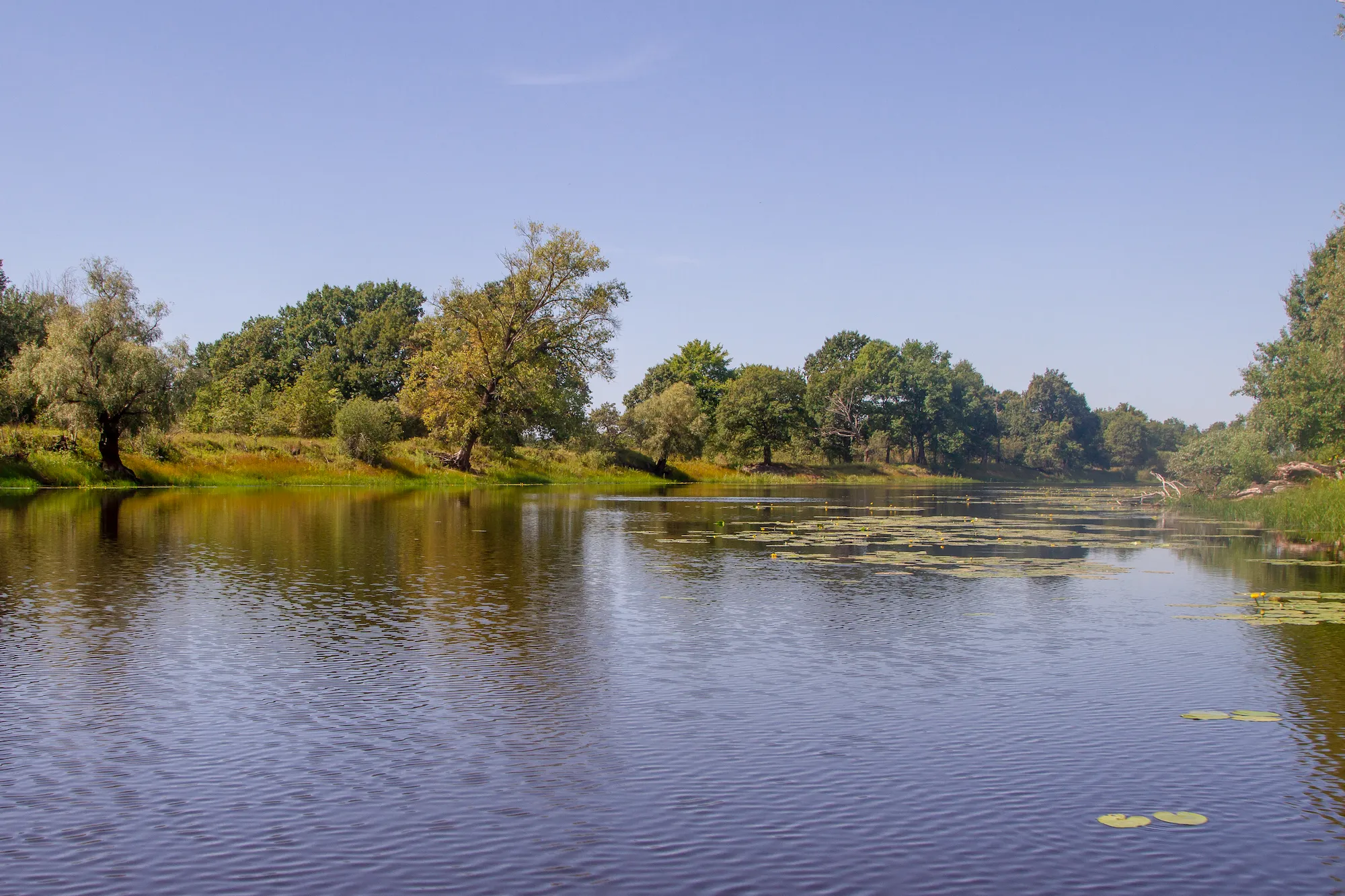 Озеро Приворот: живописный водоем в окружении лесов и холмов.