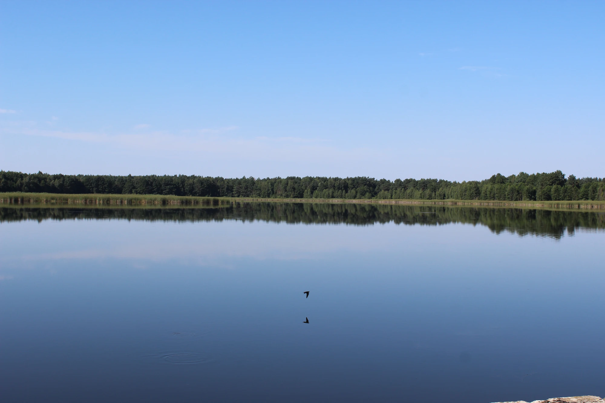 Панорамный вид Пруда №6, отражающего небо и зелень.