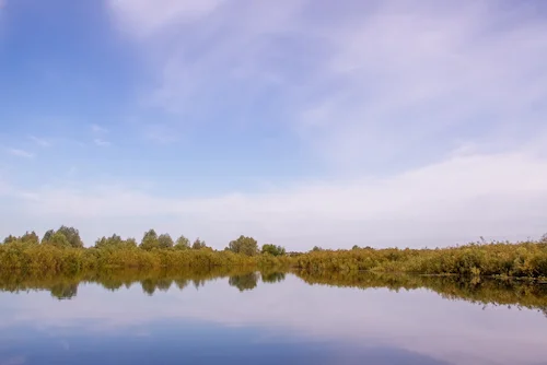 Воз. Рэчышча